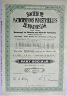 Société De Participations Industrielles De Winterslag (1962) - Mineral
