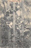 CPA CEYLON / TREE CLIMBERS / CEYLON - Sri Lanka (Ceylon)