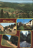 72225922 Ringelai Panorama Bayerischer Wald Wanderweg Flusspartie Ringelai - Sonstige & Ohne Zuordnung