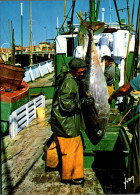 N°42571 Z -cpsm Saint Jean De Luz -retour De La Pêche Au Thon - Fishing