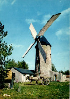 N°42573 Z -cpsm Salertaine -le Moulin De Rairé- - Windmühlen