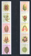 BE   R 170  XX   ---  Rouleaux 2021  --  Fruits Des Arbres --  Sur 1 Bandes De 10  (A+B)   --   Jamais Plié  --  TTB - Coil Stamps