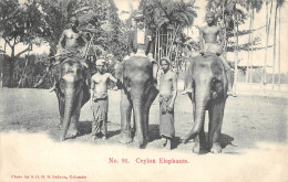 CPA CEYLON / CEYLON ELEPHANTS - Sri Lanka (Ceilán)