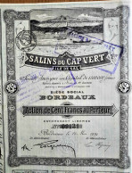 Salins Du Cap Vert -  Île De Sal - Action De 100 Francs - Bordeaux - 1919 - Other & Unclassified