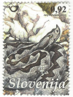 2010 Fauna - Reptiles, Snake, Slovenia - Slowenien
