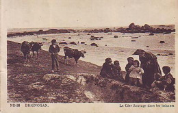 Brignogan   P37   CPA 9X14        La Côte Sauvage Dans Les Brisants - Brignogan-Plage