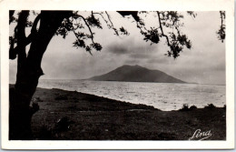 TUNISIE TUNIS  Carte Postale Ancienne [80749] - Tunisie