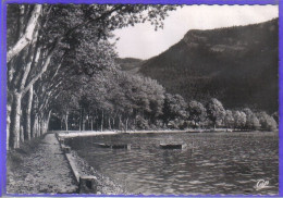 Carte Postale 01. Nantua  Très Beau Plan - Nantua