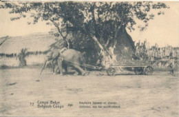 ZAC BELGIAN CONGO   PPS SBEP 42 VIEW 72  UNUSED - Stamped Stationery