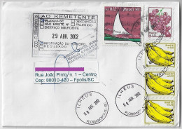 Brazil 2002 Returned To Sender Cover From Florianópolis Agency Ilheus Stamp Tribute To The Work Of Dorival Caymmi +fruit - Storia Postale