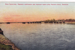 Turkestan.Camel Caravan. - Russia