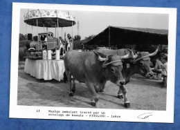 CPSM 38 FITILIEU LES ABRETS Carte Photo Manège Ambulant Tracté Par Un Attelage De Bœufs Photo PETIT Signée 50 Exp - Andere & Zonder Classificatie