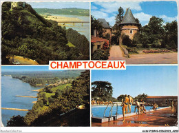 AAWP11-49-0888 - CHAMPTOCEAUX - Le Côteau - Entrée Du Chateau - La Patache - La Piscine - Champtoceaux
