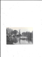 CARTE POSTALE 61 LES BORDS DE L'ORNE L'ECOLE DE NATATION - Autres & Non Classés