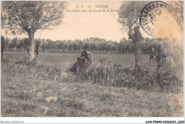 AAWP5-49-0387 - SAUMUR - Une Chute Dans Les Fossés De La Ronde - Saumur
