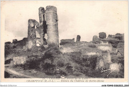 AAWP3-49-0243 - CHAMPTOCE - Ruines Du Château De Barbe-Bleue - Champtoceaux