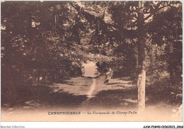 AAWP3-49-0220 - CHAMPTOCEAUX - La Promenade Du Champ-Pallu - Champtoceaux