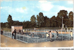 AAWP3-49-0214 - DOUE-LA-FONTAINE - La Piscine - Doue La Fontaine