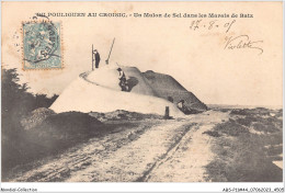 ABSP11-44-0991 - LE POULINGUEN -  Un Mulon De Sel Dans Les Marais De Batz  - Le Pouliguen