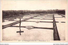 ABSP11-44-0990 - LE POULINGUEN -  Les Marais Salants  - Le Pouliguen