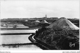 ABSP11-44-0986 - LE CROISIC -  Marais Salants -Mulon De Sel  - Le Croisic