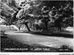 AAWP9-49-0783 - CHALONNES SUR LOIRE - Le Jardin Public - Chalonnes Sur Loire
