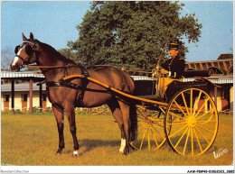 AAWP8-49-0730 - SAUMUR - Ecole Nationale D'Equitation - Le Cadre Noir - Saumur