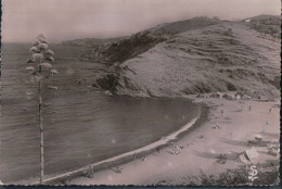 Cpsm 66 Banyuls Sur Mer La Plage Des Elmes Vue Du Robinson - Autres & Non Classés