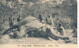 ZAC BELGIAN CONGO   PPS SBEP 42 VIEW 53  UNUSED - Interi Postali