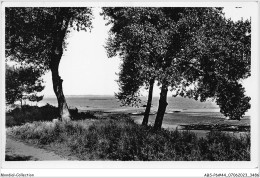 ABSP6-44-0480 - SAINT-BREVIN-LES-PINS - Ses Jolis Ombrages En Bordure De Mer  - Saint-Brevin-les-Pins