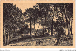 ABSP6-44-0475 - SAINT-BREVIN-LES-PINS - Sapins Dans Les Dunes  - Saint-Brevin-les-Pins