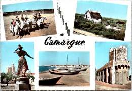 13 SOUVENIR DE CAMARGUE CPSM FORMAT 10X15 [TRY/75212] - Sonstige & Ohne Zuordnung