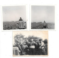 3 Photos De Vendangeurs ,Tracteur.. - Anonymous Persons