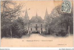 ACAP5-49-0493 - CHEMILLE -Chateau De Salboeuf  - Chemille