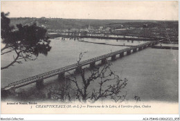 ACAP5-49-0481 - CHAMPTOCEAUX - Panorama De La Loire , à L'arriere-Plan , Oudon  - Champtoceaux