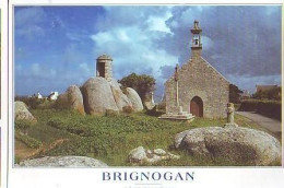 Brignogan   G5   CPM 10X15        La Chapelle Pol, Le Calvaire Et La Petite Tour De Guet - Brignogan-Plage