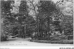 ADPP11-44-1094 - NANTES - Le Jardin Des Plantes - Nantes
