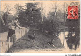 ADPP11-44-1088 - NANTES - Un Coin Du Jardin Des Plantes  - Nantes