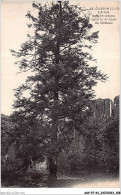 ADPP7-44-0642 - CLISSON - L'arbre Des Vendéens Dans La 4è Cour Du Château - Clisson
