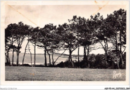 ADPP5-44-0419 - LA BERNERIE - Sous Les Pins Vers Crèvecoeur  - La Bernerie-en-Retz