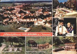 72223231 Vielbrunn Wasserretanlage Tracht Dorfbrunnen Wildschwein Frischlingen   - Michelstadt