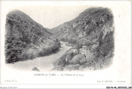 AEXP6-48-0615 - GORGES DU TARN - Le Château De La Caze  - Gorges Du Tarn