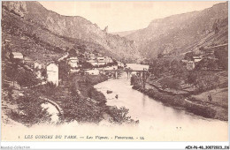 AEXP6-48-0579 - GORGES DU TARN  - LES VIGNES - Panorama  - Gorges Du Tarn