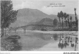 AEXP6-48-0549 - GORGES DU TARN - Le Pont De MOLINES  - Gorges Du Tarn
