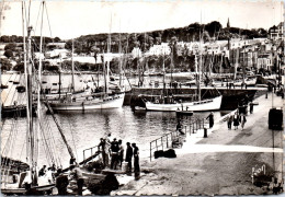 29 DOUARNENEZ CPSM FORMAT 10X15 [TRY/77283] - Andere & Zonder Classificatie