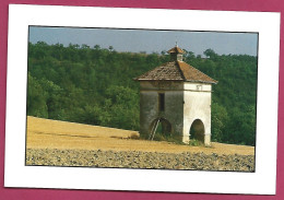 + Livers-Cazelles (81) Pigeonnier Sur Arches Avec Lanternon Du Château De Cazelles 2scans - Otros & Sin Clasificación