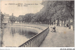 AFDP3-55-0281 - VERDUN-SUR-MEUSE - Promenade De La Digue - Allée Des Tilleuls - Verdun