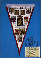 2231 - MK / CM - Provinciewet En Provincieraden - 1981-1990