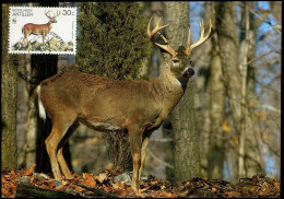 Nederlandse Antillen - Deer - Game