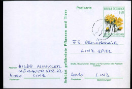 Postkarte Nach Linz - Covers & Documents